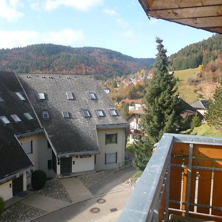 Haus Herzogenhorn - Hornberg Todtmoos Exterior photo